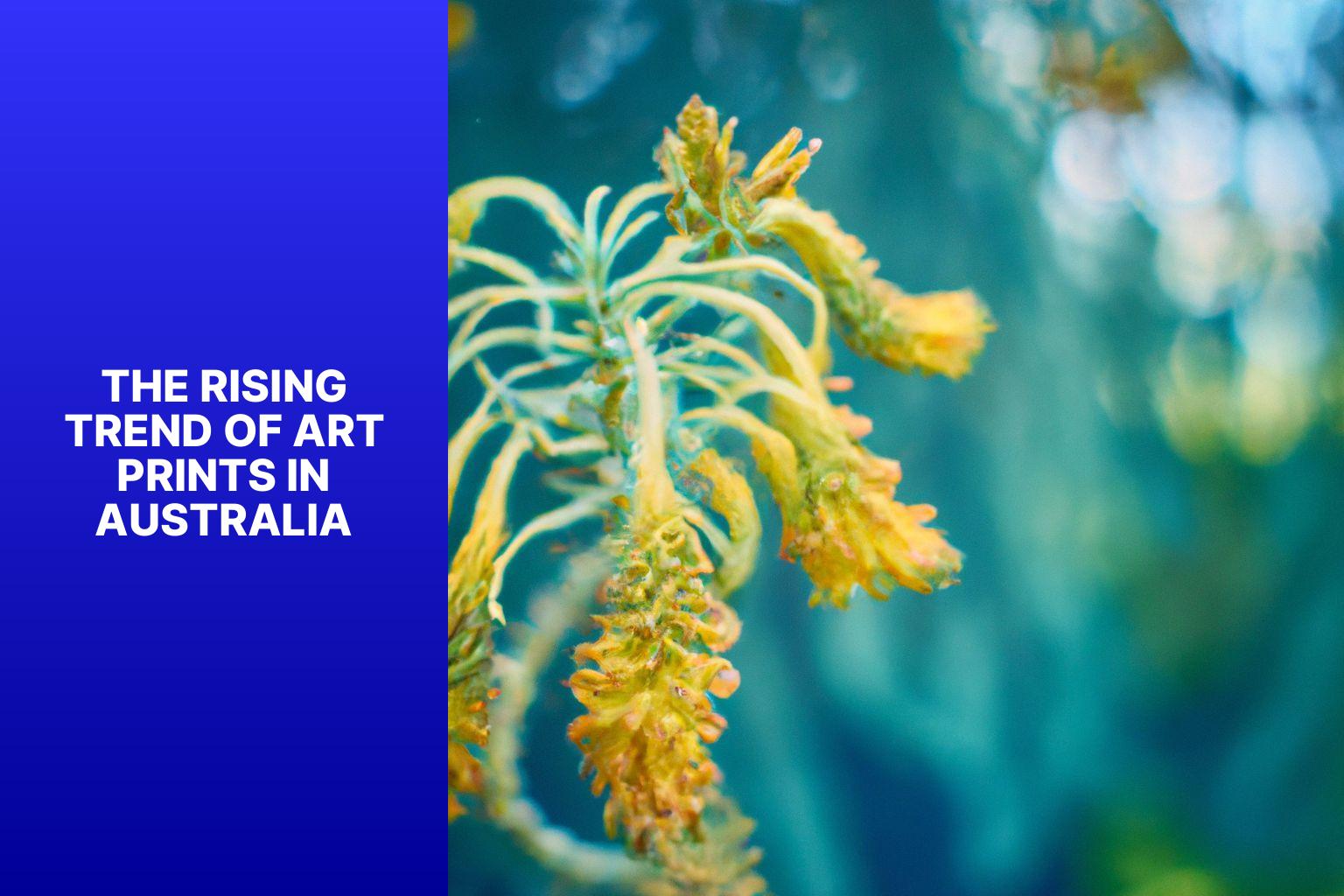 The Rising Trend of Art Prints in Australia - Art Prints Australia: The Rising Trend 