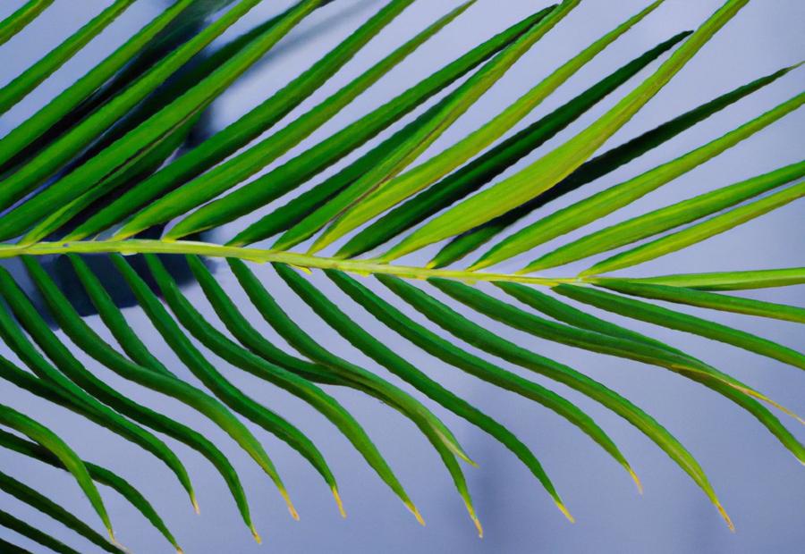 How to Care for Palm Leaf Art Prints - Palm Leaves in Art: Tropical Framed Prints for Your Home 